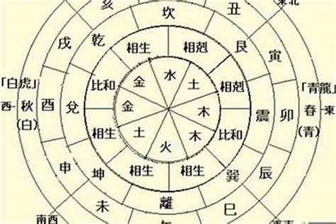 乙木日主|十天干命主白話解說